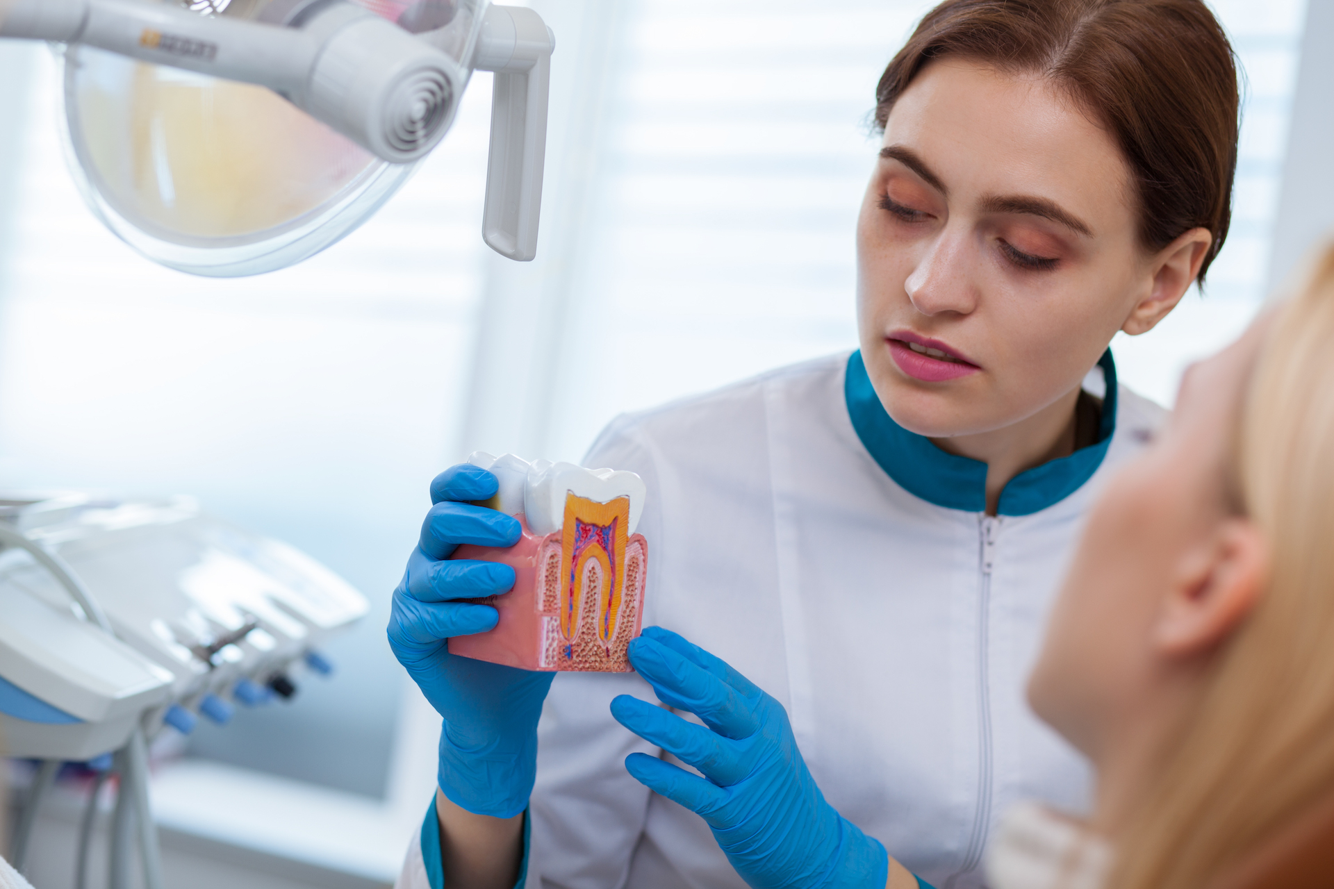 Young female dentist holding tooth mold, explaining something to her patient during medical consultation at her clinic. Orthodontist showing her client denture. Experience, medical treatment concept